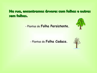 Na rua, encontramos árvores com folhas e outras
sem folhas.

         - Plantas de Folha Persistente.




            - Plantas de Folha Caduca.
 