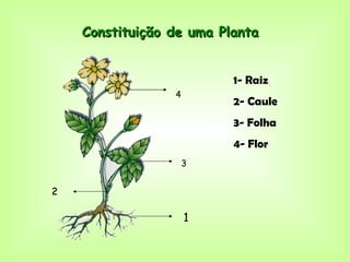 Constituição de uma Planta


                          1- Raiz
                 4
                          2- Caule
                          3- Folha
                          4- Flor
                     3


2

                     1
 
