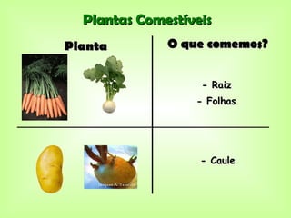 Plantas Comestíveis
Planta        O que comemos?


                   - Raiz
                  - Folhas




                   - Caule
 