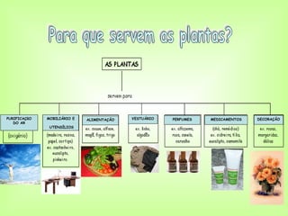 PURIFICAÇãO   MOBILIÁRIO E   ALIMENTAÇÃO   VESTUÁRIO   PERFUMES   MEDICAMENTOS   DECORAÇÃO
   DO AR
               UTENSÍLIOS
 