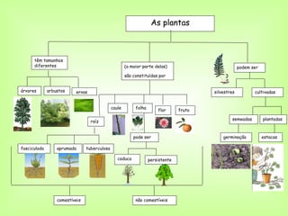 As plantas



      têm tamanhos
      diferentes                                      (a maior parte delas)                           podem ser
                                                      são constituídas por


árvores       arbustos    ervas                                                          silvestres          cultivadas


                                              caule        folha
                                                                       flor      fruto

                                                                                                 semeadas         plantadas
                                  raíz


                                                          pode ser                           germinação           estacas

fasciculada       aprumada      tuberculosa

                                                 caduca            persistente




                  comestíveis                              não comestíveis
 