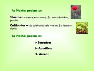 As Plantas podem ser:

Silvestres - nascem nos campos. Ex. ervas daninhas,
papoila;

Cultivadas – são cultivadas pelo Homem. Ex. legumes,
flores.


 As Plantas podem ser:

                     1- Terrestres
                     2- Aquáticas
                      3- Aéreas
 