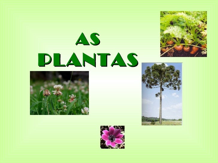 ASPLANTAS 