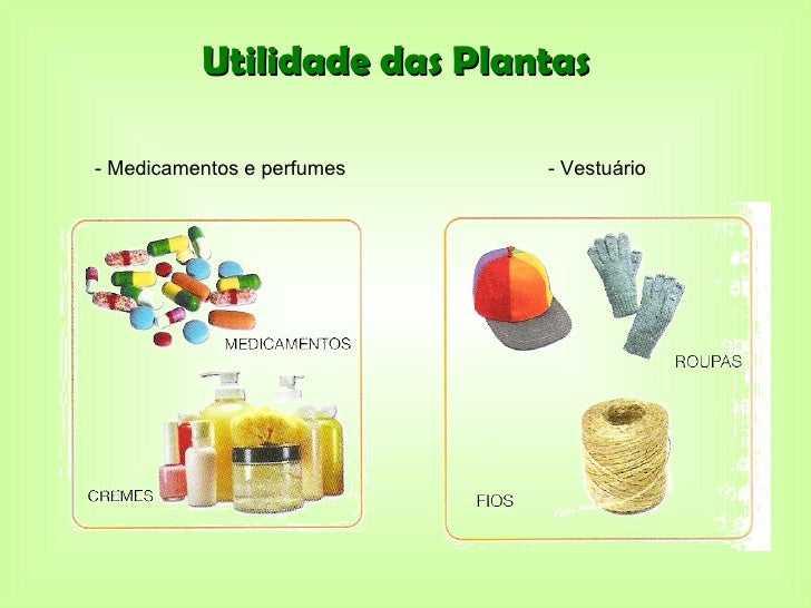 Apresentação plantas
