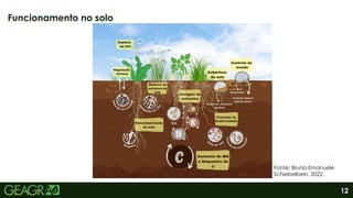 12
Funcionamento no solo
Fonte: Bruna Emanuele
Schiebelbein, 2022.
 