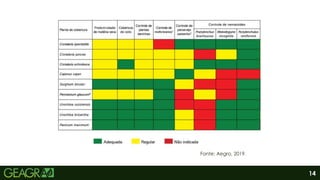 14
Fonte: Aegro, 2019.
 