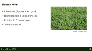15
• Estilosantes (Stylosanthes spp.)
• Boa tolerância a solos arenosos;
• Resistência à antracnose;
• Tolerância ao Al.
Sistema Mirai
Fonte: Aeagro, 2021.
 