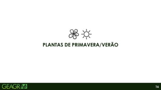 16
PLANTAS DE PRIMAVERA/VERÃO
 