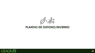 32
PLANTAS DE OUTONO/INVERNO
 
