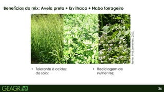 36
Benefícios do mix: Aveia preta + Ervilhaca + Nabo forrageiro
Fonte:
Pirai
Sementes,
2023.
• Tolerante à acidez
do solo;
• Reciclagem de
nutrientes;
 