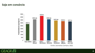 6
Soja em consórcio
Fonte: Leonardo Campos, 2022.
Soja solteira Soja x
Massai
Soja x
Mombaça
Soja x
Marandu
Soja x
Ruziziensis
Soja x
Milheto
Milheto
pós-soja
 