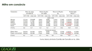 7
Milho em consórcio
Fonte: Marco Antonio Camillo de Carvalho et al., 2004.
 
