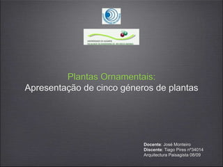 Plantas Ornamentais:
Apresentação de cinco géneros de plantas
Docente: José Monteiro
Discente: Tiago Pires nº34014
Arquitectura Paisagista 08/09
 