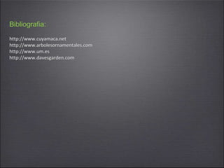 Bibliografia:
http://www.cuyamaca.net
http://www.arbolesornamentales.com
http://www.um.es
http://www.davesgarden.com
 