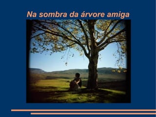Na sombra da árvore amiga
 