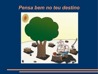 Pensa bem no teu destino
 
