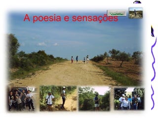 A poesia e sensações
 