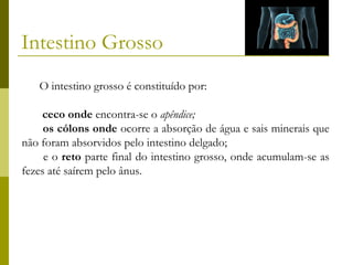 Intestino Grosso
O intestino grosso é constituído por:
 ceco onde encontra-se o apêndice;
os cólons onde ocorre a absorção de água e sais minerais que
não foram absorvidos pelo intestino delgado;
e o reto parte final do intestino grosso, onde acumulam-se as
fezes até saírem pelo ânus.

 