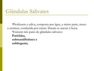 Glândulas Salivares
•Produzem a saliva, composta por água, a maior parte, muco
e enzimas, conduzida por canais. Situam-se anexas à boca;
•Existem três pares de glândulas salivares:
Parótidas,
submandibulares e
sublinguais;

 