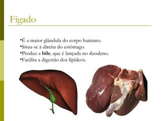 Fígado
•É a maior glândula do corpo humano.
•Situa-se à direita do estômago.
•Produz a bile, que é lançada no duodeno.
•Facilita a digestão dos lipídeos.

 