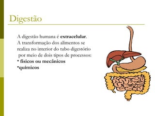 Digestão
A digestão humana é extracelular.
A transformação dos alimentos se
realiza no interior do tubo digestório
por meio de dois tipos de processos:
• físicos ou mecânicos
•químicos

 