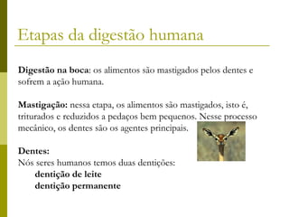 Etapas da digestão humana
Digestão na boca: os alimentos são mastigados pelos dentes e
sofrem a ação humana.
Mastigação: nessa etapa, os alimentos são mastigados, isto é,
triturados e reduzidos a pedaços bem pequenos. Nesse processo
mecânico, os dentes são os agentes principais.
Dentes:
Nós seres humanos temos duas dentições:
dentição de leite
dentição permanente

 