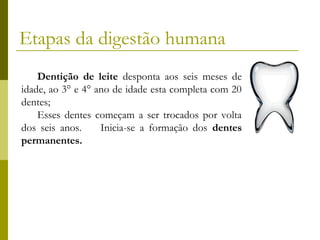 Etapas da digestão humana
Dentição de leite desponta aos seis meses de
idade, ao 3° e 4° ano de idade esta completa com 20
dentes;
Esses dentes começam a ser trocados por volta
dos seis anos.
Inicia-se a formação dos dentes
permanentes.

 