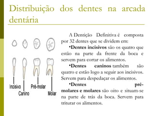 Distribuição dos dentes na arcada
dentária
A Dentição Definitiva é composta
por 32 dentes que se dividem em:
•Dentes incisivos são os quatro que
estão na parte da frente da boca e
servem para cortar os alimentos.
•Dentes
caninos também
são
quatro e estão logo a seguir aos incisivos.
Servem para despedaçar os alimentos.
•Dentes
prémolares e molares são oito e situam-se
na parte de trás da boca. Servem para
triturar os alimentos.

 