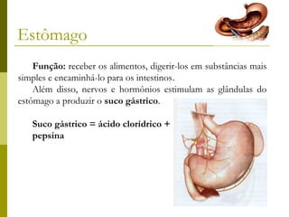 Estômago
Função: receber os alimentos, digerir-los em substâncias mais
simples e encaminhá-lo para os intestinos.
Além disso, nervos e hormônios estimulam as glândulas do
estômago a produzir o suco gástrico.
Suco gástrico = ácido clorídrico +
pepsina

 