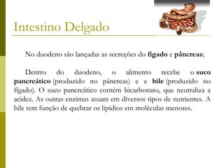 Intestino Delgado
No duodeno são lançadas as secreções do fígado e pâncreas;
Dentro do duodeno, o alimento recebe o suco
pancreático (produzido no pâncreas) e a bile (produzido no
fígado). O suco pancreático contém bicarbonato, que neutraliza a
acidez. As outras enzimas atuam em diversos tipos de nutrientes. A
bile tem função de quebrar os lipídios em moléculas menores.

 