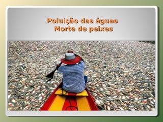 Poluição das águas  Morte de peixes 