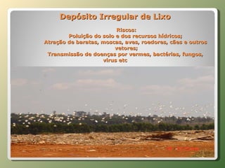 Depósito Irregular de Lixo Riscos: Poluição do solo e dos recursos hídricos;  Atração de baratas, moscas, aves, roedores, cães e outros  vetores; Transmissão de doenças por vermes, bactérias, fungos,  virus etc 
