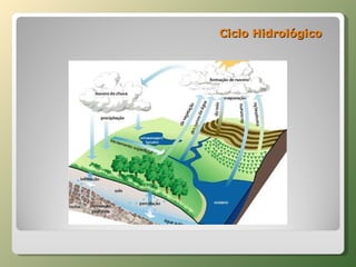 Ciclo Hidrológico 