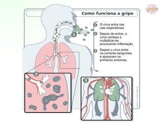 O vírus entra nas vias respiratórias Depois de entrar, o vírus começa a multiplicar-se, provocando Inflamação Depois o vír...