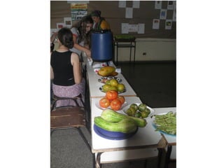 Apresentação portfólio 2012 segundo semestre