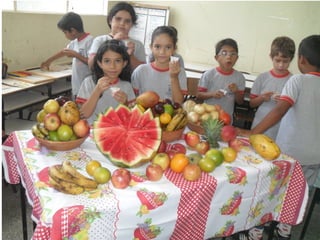 Apresentação portfólio 2012 segundo semestre