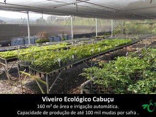 Viveiro Ecológico Cabuçu
        160 m² de área e irrigação automática.
Capacidade de produção de até 100 mil mudas por safra .
 