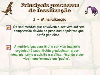 3 - Mineralização
Os sedimentos que envolvem o ser vivo sofrem
compressão devido ao peso dos depósitos que
estão por cima.
A matéria que constitui o ser vivo (matéria
orgânica) é substituída gradualmente por
minerais, como a calcite e a sílica, ficando o ser
vivo transformado em “pedra”.
 