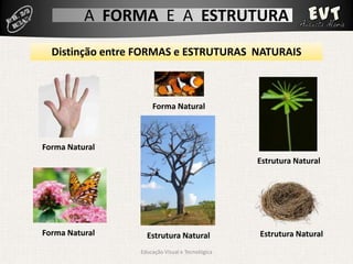 A FORMA E A ESTRUTURA
  Distinção entre FORMAS e ESTRUTURAS NATURAIS



                     Forma Natural



Forma Natura...