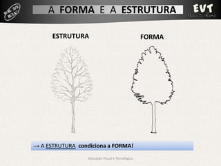 A FORMA E A ESTRUTURA

      ESTRUTURA                                   FORMA




→ A ESTRUTURA condiciona a FORMA!
     ...
