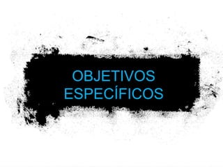 OBJETIVOS ESPECÍFICOS teste 