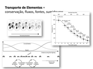 Transporte de Elementos = conservação, fluxos, fontes, sumidouros