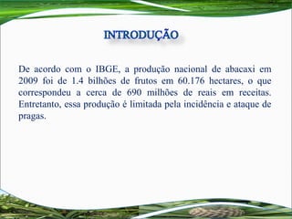  
De  acordo  com  o  IBGE,  a  produção  nacional  de  abacaxi  em 
2009  foi  de  1.4  bilhões  de  frutos  em  60.176  hectares,  o  que 
correspondeu  a  cerca  de  690  milhões  de  reais  em  receitas. 
Entretanto, essa produção é limitada pela incidência e ataque de 
pragas.
 