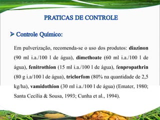 Em pulverização, recomenda-se o uso dos produtos: diazinon
(90 ml i.a./100 l de água), dimethoate (60 ml i.a./100 l de
água), fenitrothion (15 ml i.a./100 l de água), fenpropathrin
(80 g i.a/100 l de água), triclorfom (80% na quantidade de 2,5
kg/ha), vamidothion (30 ml i.a./100 l de água) (Emater, 1980;
Santa Cecília & Sousa, 1993; Cunha et al., 1994).
 