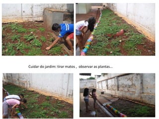 Cuidar do jardim: tirar matos , observar as plantas...
 