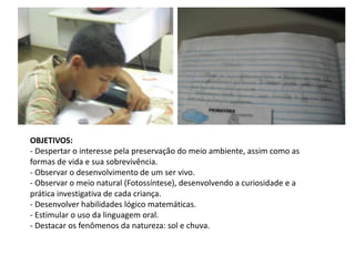 OBJETIVOS:
- Despertar o interesse pela preservação do meio ambiente, assim como as
formas de vida e sua sobrevivência.
- Observar o desenvolvimento de um ser vivo.
- Observar o meio natural (Fotossíntese), desenvolvendo a curiosidade e a
prática investigativa de cada criança.
- Desenvolver habilidades lógico matemáticas.
- Estimular o uso da linguagem oral.
- Destacar os fenômenos da natureza: sol e chuva.
 
