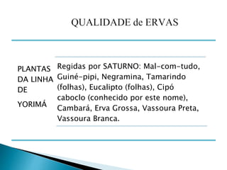 Regidas por SATURNO: Mal-com-tudo,
Guiné-pipi, Negramina, Tamarindo
(folhas), Eucalipto (folhas), Cipó
caboclo (conhecido por este nome),
Cambará, Erva Grossa, Vassoura Preta,
Vassoura Branca.
PLANTAS
DA LINHA
DE
YORIMÁ
 