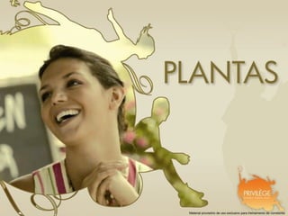 Material provisório de uso exclusivo para treinamento de corretores
 