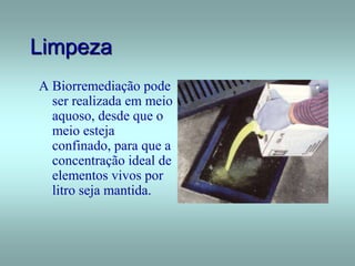 Limpeza
A Biorremediação pode
ser realizada em meio
aquoso, desde que o
meio esteja
confinado, para que a
concentração ideal de
elementos vivos por
litro seja mantida.
 