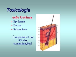 Toxicologia
Ação Cutânea
 Epiderme
 Derme
 Subcutânea
É responsável por
8% das
contaminações!
 